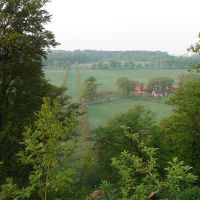 部屋からは森が見える