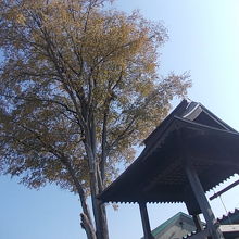 なかなか美しいコントラストが楽しめます