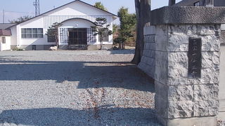 巨木と鐘楼とのコントラストが美しかったです