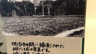 柳川城跡  柳川