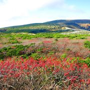 御釜の西側外輪壁上