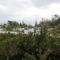 ガーデンというより駐車場ビューでした。