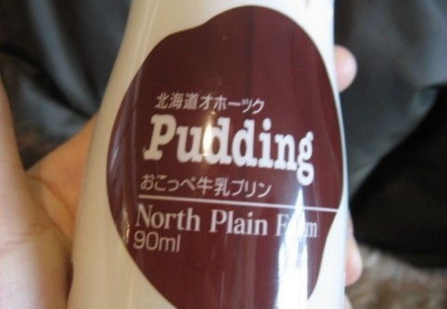 お気に入りのプリンだったのですが