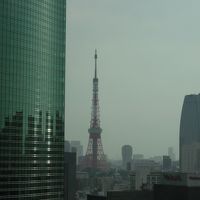 ロビーからの眺望