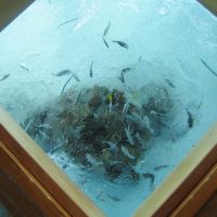 テーブルのガラスをスライドさせると…