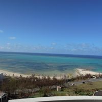 正午過ぎが綺麗です