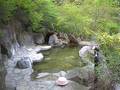 源泉の湯　東や 写真