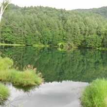 ぜひ実際に見てください！