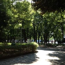 なんとなく癒される