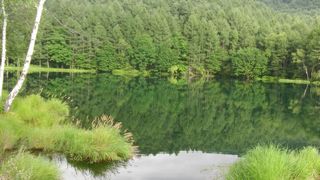 池百選に選定された！