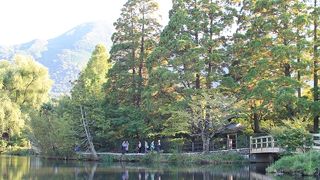 湯布院に来たら見てほしい