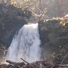 滝はズバリ、こんな感じです
