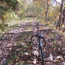 途上の林道は落ち葉がかなり深かったです