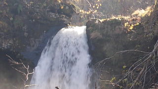 滝壺まではかなり遊歩道を下がります