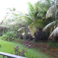 ホテル棟２５０号室からの眺め