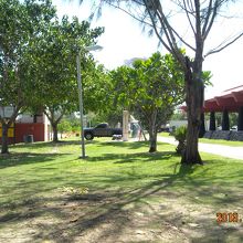 水のシャワー（中央）