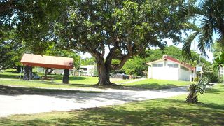 潮の満ち引きを確認していきました