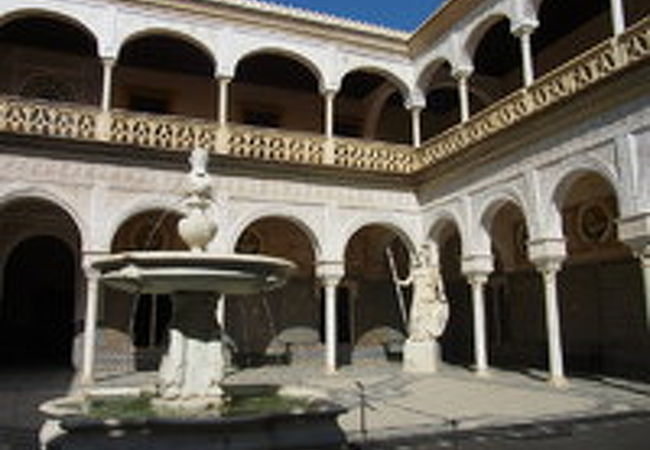 美しいパティオを持つ邸宅