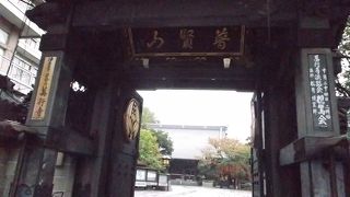 国体通り添いの大きな寺院・・浄土真宗の古刹