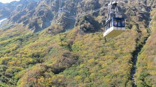 眼下に紅葉を見おろす