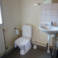 シャワーカーテンが何故か海の生物柄。