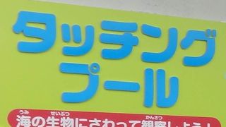 びっくり、楽しい体験プール