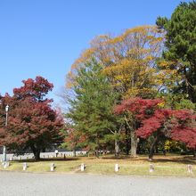 とにかく広い。