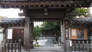 花木の素敵な庭があります。