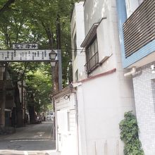 都電荒川線を降りると、欅並木が始まります