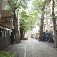 とても涼しい並木道でした。落ち着いた眺めもよかったです