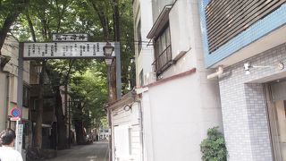 夏の暑さを忘れる並木道でした