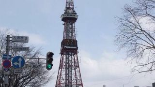 東京タワーを見慣れているので、微妙でした