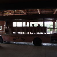 無料のピンクバス。