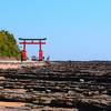 青島神社