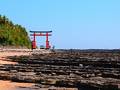 青島神社