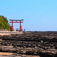 青島神社