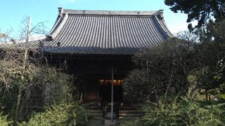 緑がいっぱいのお寺でした