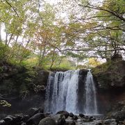 紅葉見頃にはまだ早い