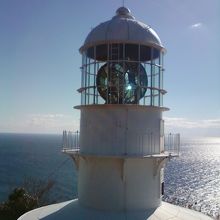 レンズに光が上手く入ったのが撮れたので。。。