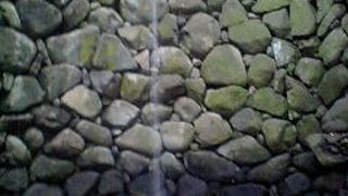 自由に滝修行！