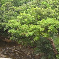 気持ちがいい眺め