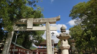 コンパクトにまとまっています