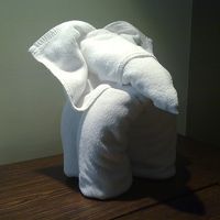 象さん（タオル）