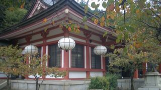 時間をかけてのんびり行きたい