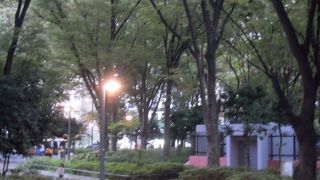 セントラルパークでのんびりと