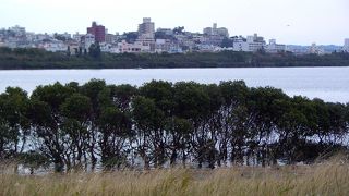 ラムサール条約登録地