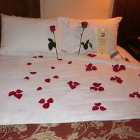 花びらはミッキーの形！