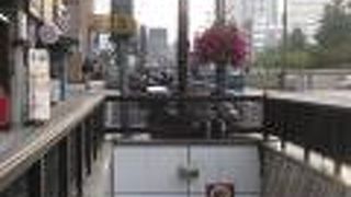 観光に利用しない手はありません