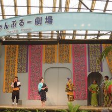 ショーを見ながら