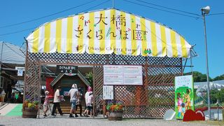 と～ても大きかったです。